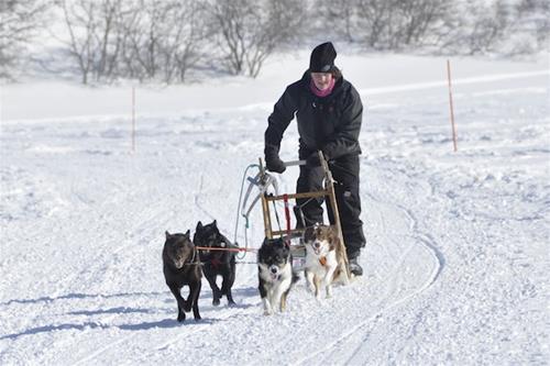 _DSC0074 _DSC0074
