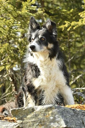 DSC_2192 DSC_2192