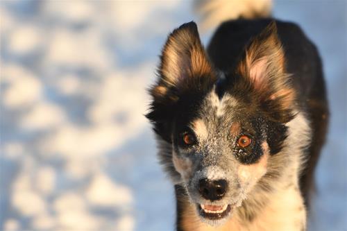 DSC_6096 DSC_6096