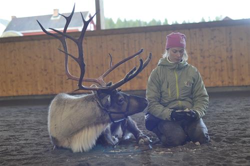 _DSC0250 _DSC0250
