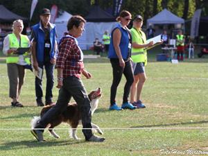 IMG_3489-2 IMG_3489-2