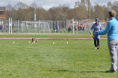 _DSC0350 _DSC0350