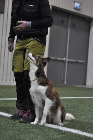 _DSC0118 _DSC0118