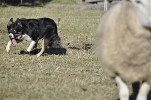 _DSC0420 _DSC0420