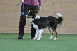 _DSC0238 _DSC0238