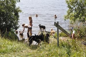 _DSC0301 _DSC0301