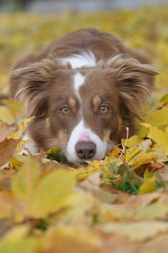 _DSC0110 _DSC0110