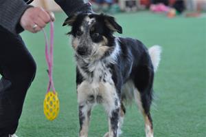 _DSC0415 _DSC0415