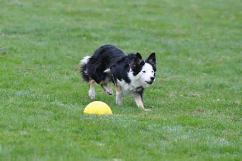 _DSC0151 _DSC0151