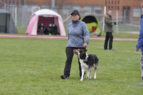 _DSC0223 _DSC0223