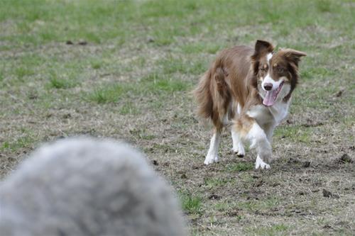 _DSC0128 _DSC0128