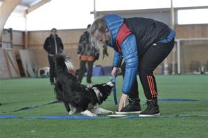 _DSC0263 _DSC0263