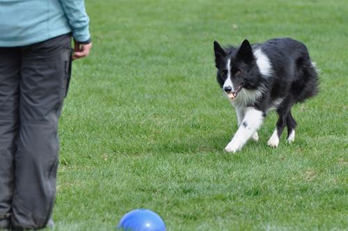 _DSC0311 _DSC0311