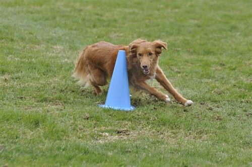 _DSC0248 _DSC0248