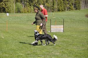 _DSC0020 _DSC0020