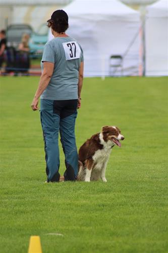IMG_0739 IMG_0739