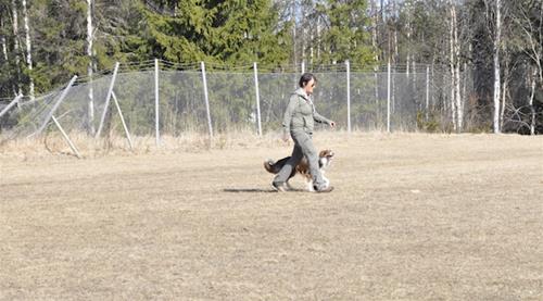 _DSC0029 _DSC0029