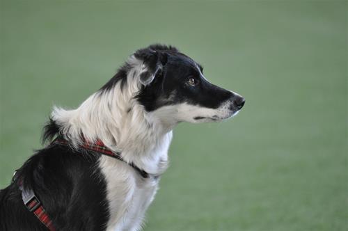 _DSC0281 _DSC0281