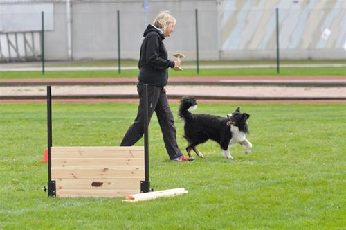 _DSC0299 _DSC0299