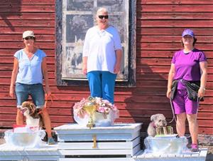 IMG_7514 IMG_7514