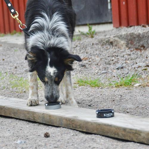 _DSC0015 _DSC0015
