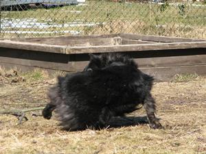 Bild 1304 Bild 1304