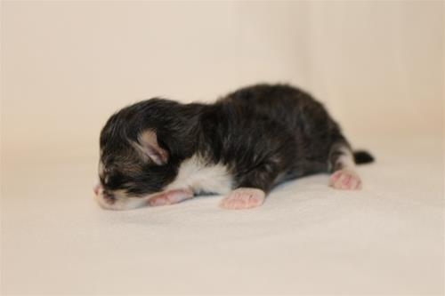 IMG_5779 IMG_5779