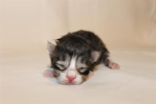 IMG_5780 IMG_5780