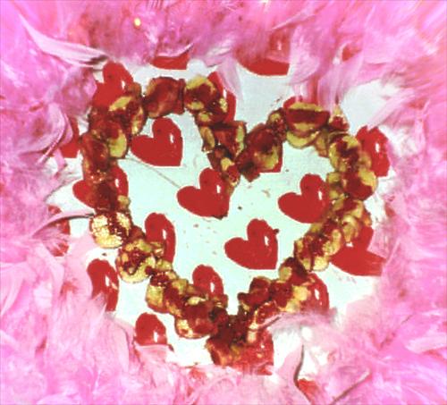 Bananaloveheart Bananaloveheart