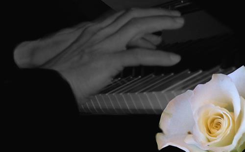 En pianists händer En pianists händer