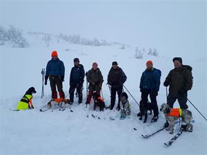 Klubbmestere TFK2019 Klubbmestere TFK2019