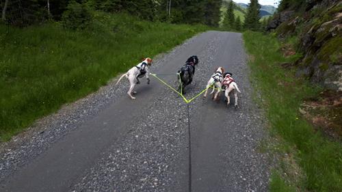 Sykkeltrening. Sykkeltrening.
