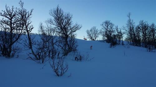 20131226_142456 20131226_142456