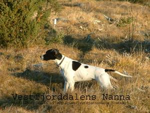 Vestfjorddalens Nanna Vestfjorddalens Nanna
