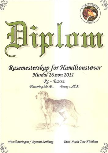 Diplom Rasemesterskapet Diplom Rasemesterskapet