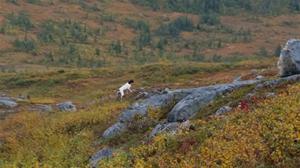 20160910_111013_resized_1 20160910_111013_resized_1