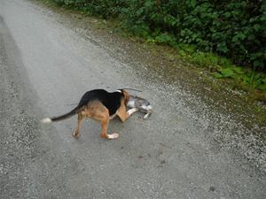 DSCN4911 DSCN4911