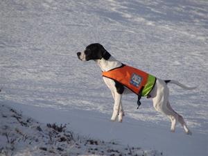 NO52025_14_pirjo NO52025_14_pirjo