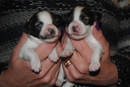 Two weeks <3 Two weeks <3