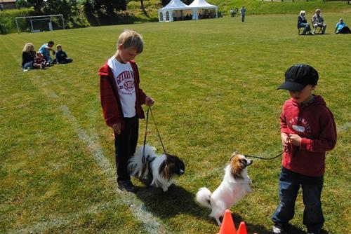 DSC_0048 DSC_0048