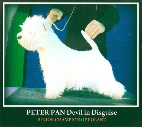 Peter pan 1 Peter pan 1