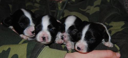 Two weeks Two weeks