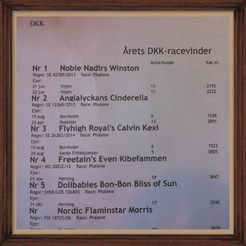 Dkks racevinnare Dkks racevinnare
