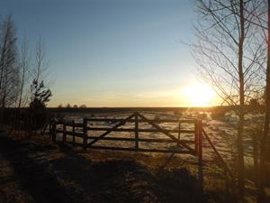 December 2011 076 December 2011 076