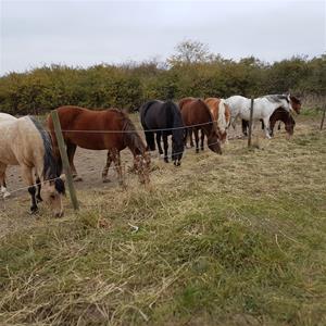 Mobilbilder 2018 225 Mobilbilder 2018 225