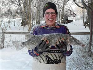 Gäddfiske Gäddfiske