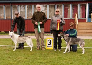 Fenja Champion Fenja Champion