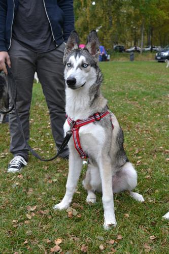 DSC_0946 DSC_0946