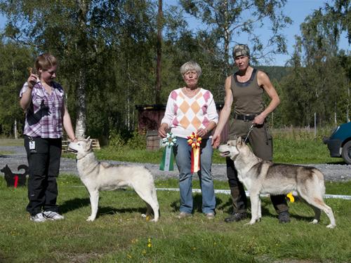 bir bim Sollefteå -13 bir bim Sollefteå -13