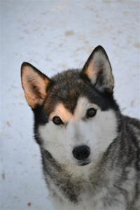 DSC_0022 DSC_0022